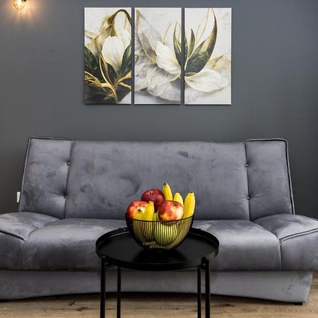 Royal Grey Apartment サラエヴォ エクステリア 写真